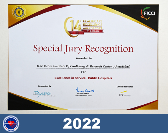 Healthcare Excellence Award – 2022