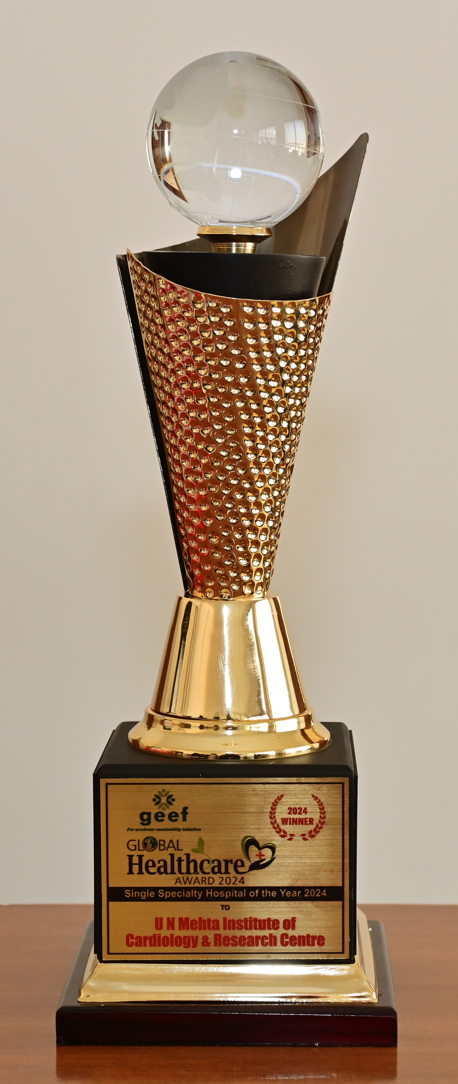 THE GEEF GLOBAL HEALTHCARE AWARD 2024